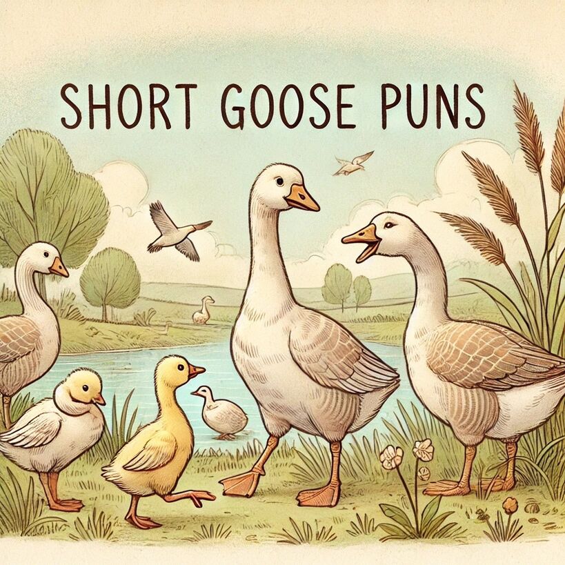 Puns That'll Crack You Up