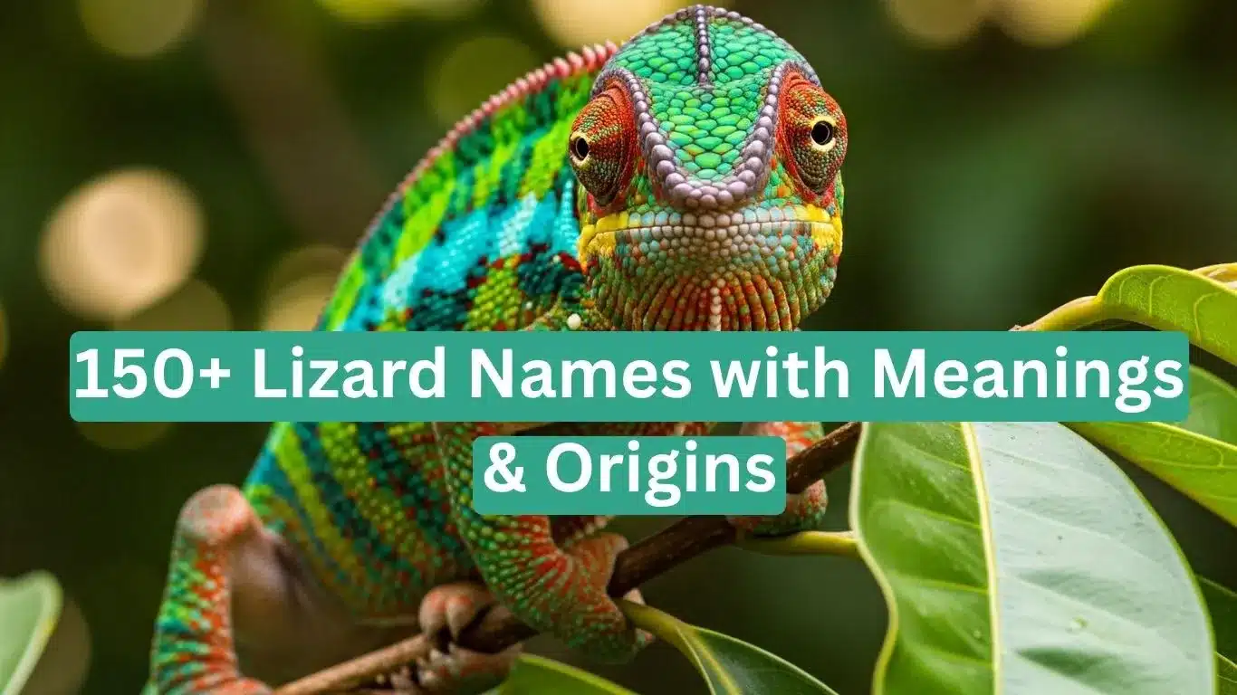 150+ Lizard Names with Meanings & Origins