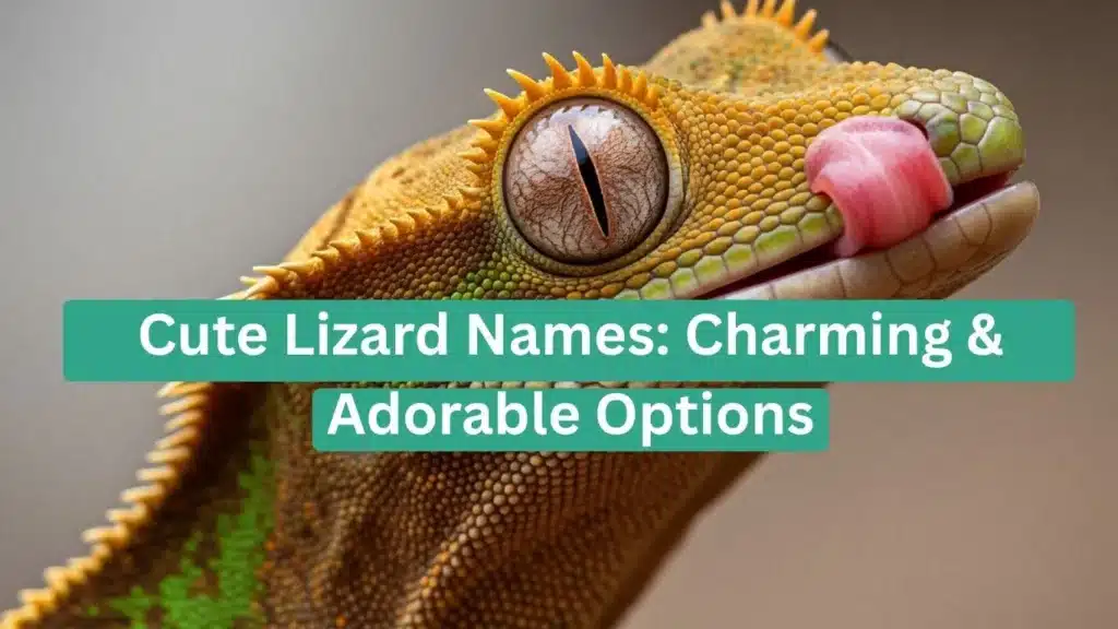 Cute Lizard Names: Charming & Adorable Options